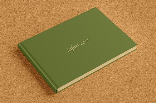 Safari 2017