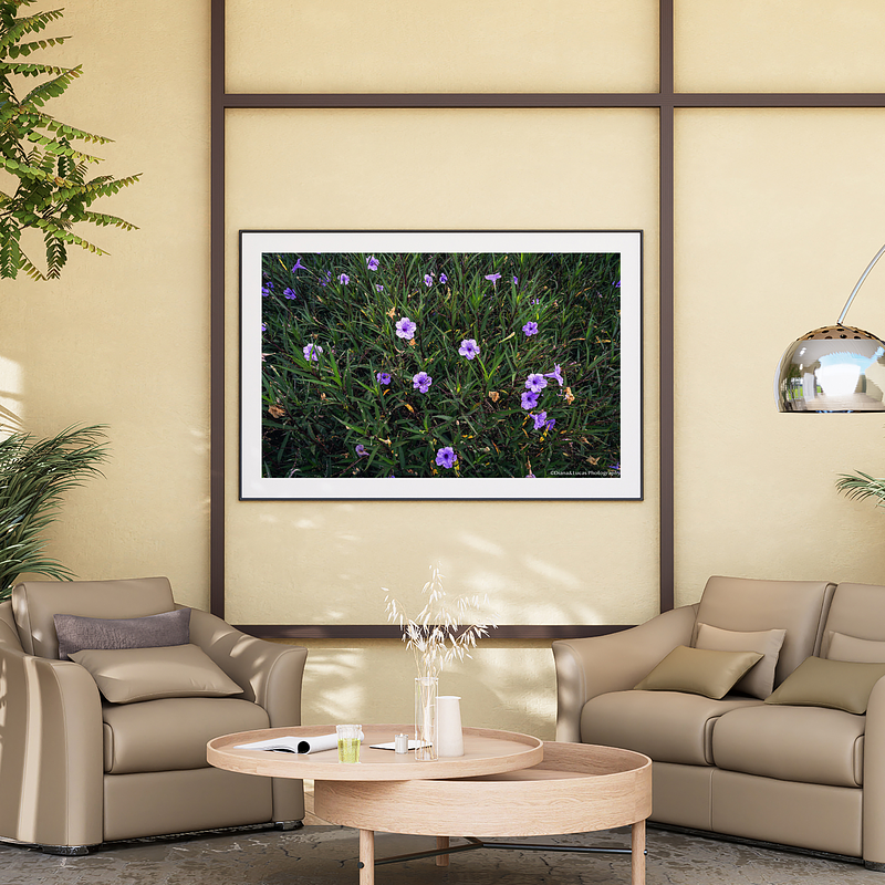 THE ONE - WILDLIFE & NATURE - "Grassland Bloom" - LIMITED EDITION 5 of 5