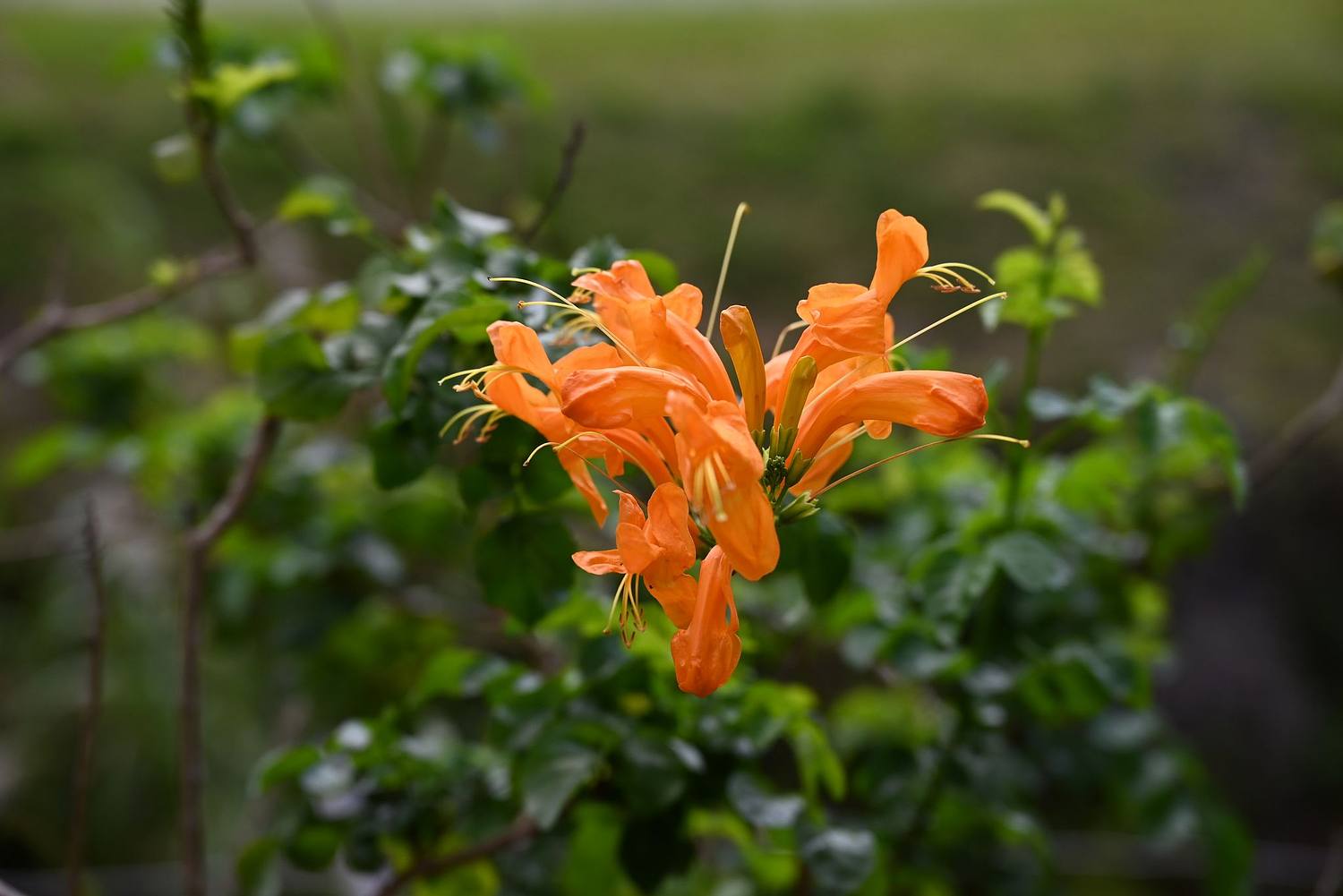 Eloy Photography