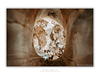 THE ONE - QUIET ICONS - "Cave Eye" - LIMITED EDITION 5 of 5