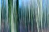 Abstracte natuurfotografie (4 juli 2026)