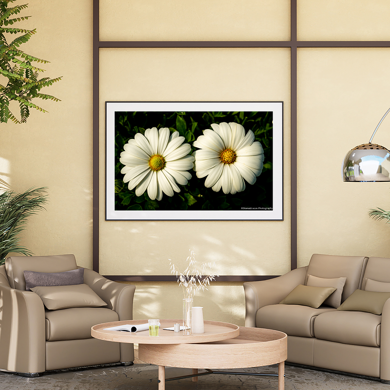THE ONE - WILDLIFE & NATURE - "White Twins" - LIMITED EDITION 5 of 5