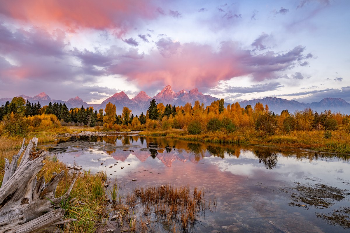 Fall-Color-Palette