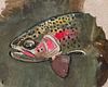 Swirls of Color- Rainbow Trout