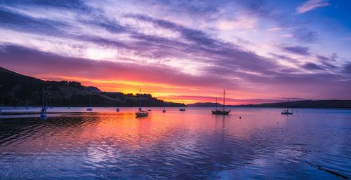 Skies, sunrise, sunset, Otago, Peninsula, port, Chalmers, boats, sail, marina, fishing, seascape, ocean, harbor, Dunedin, New Zealand, South Island, Pacific, daybreak, dawn, dusk, glow,