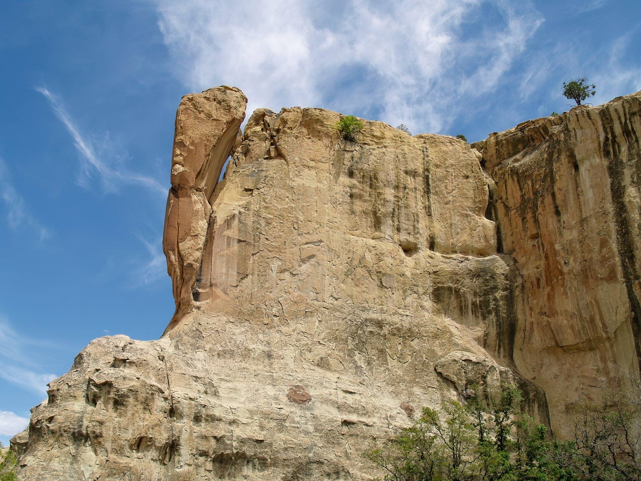 New Mexico