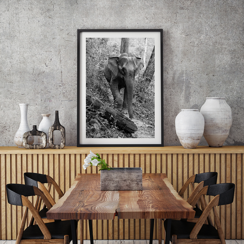 COLLECTION - GIANTS OF THE LAND VERTICAL - "Fallen Log" - LIMITED EDITION 5 of 5