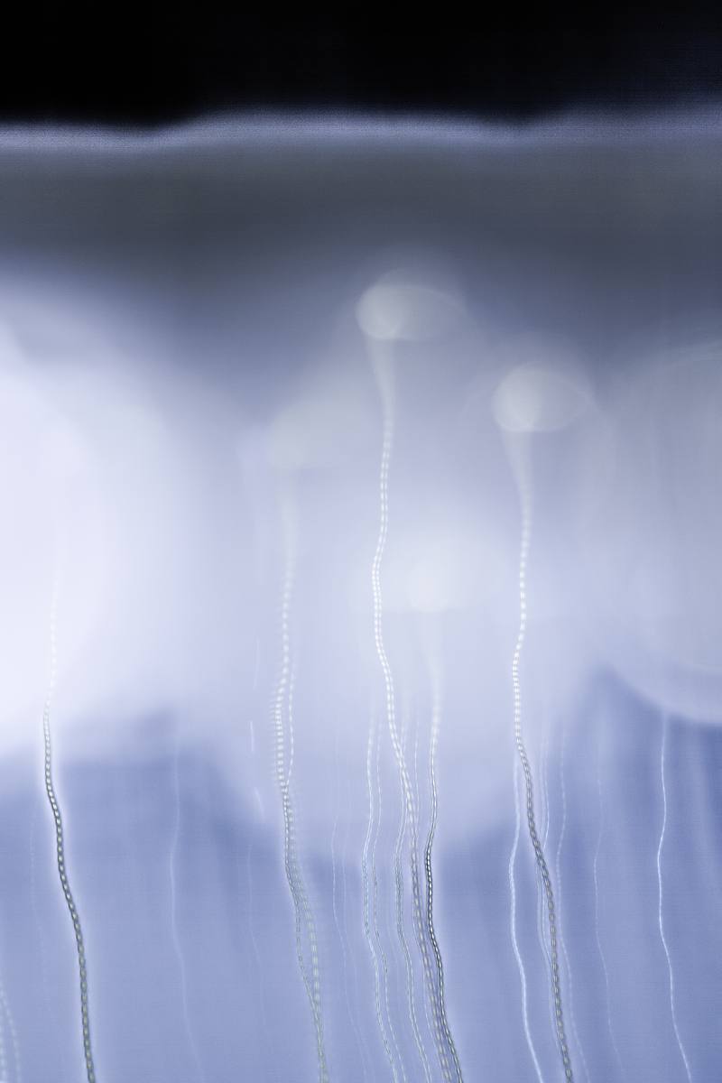 Intimations