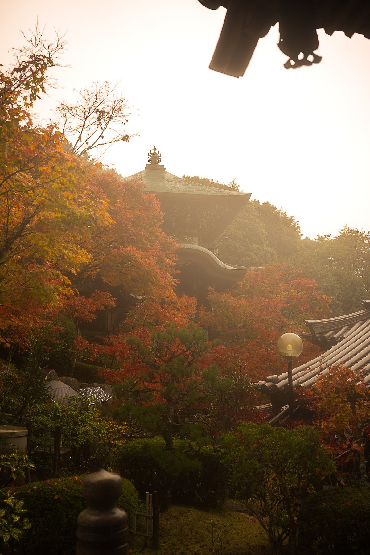 Le temple Daishō-in dans les érables rouges de novembre, Miyajima