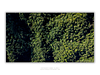 THE ONE - AERIAL PRINTS - "Crown Cover" - LIMITED EDITION 5 of 5