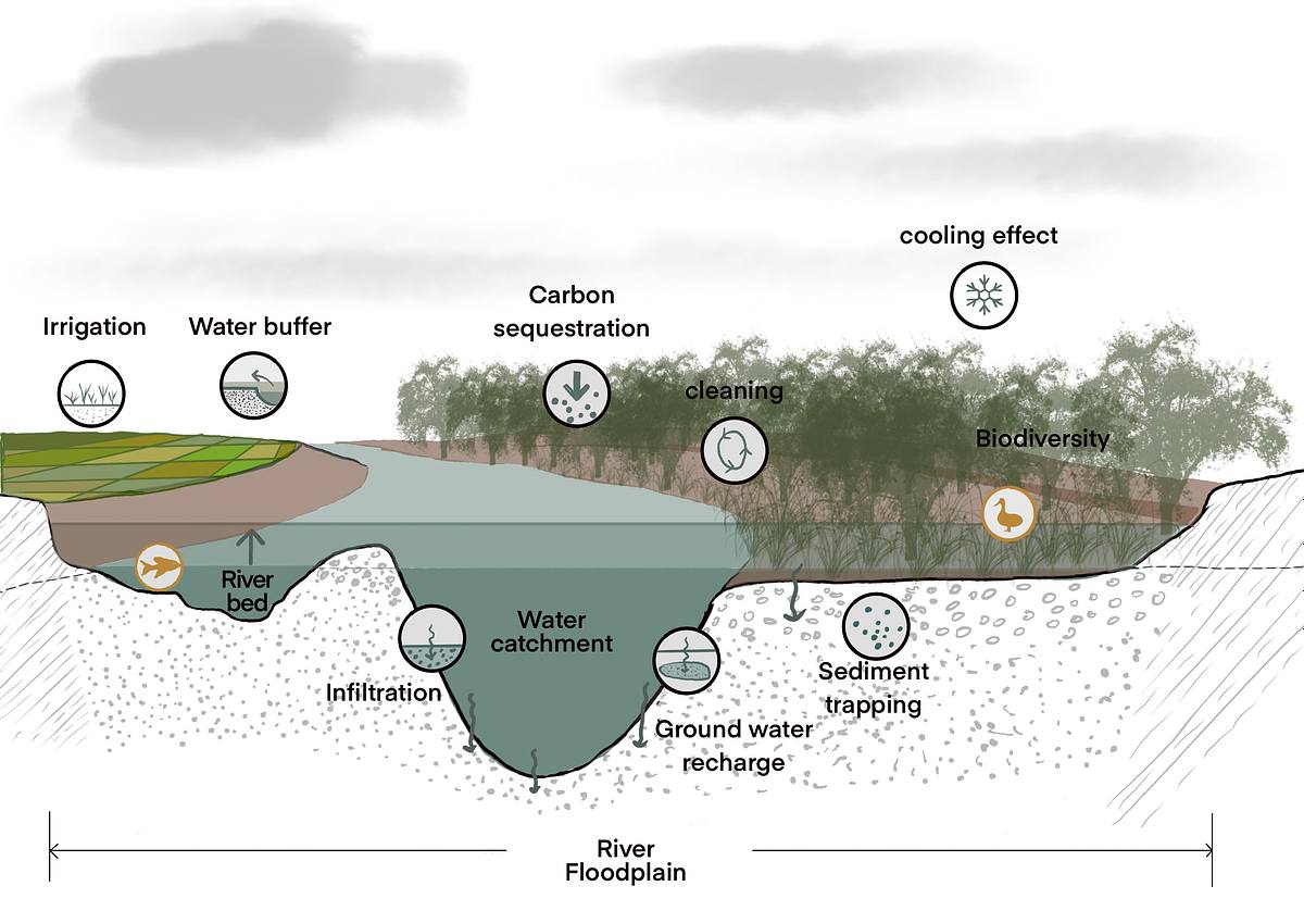 green roofs water reuse urban infrastructure climate adaptation Скановані документи