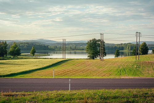 Road and field