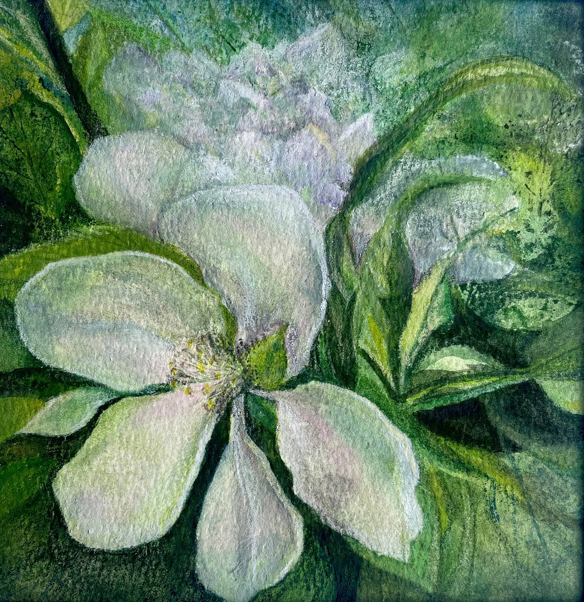 Apple blossom art, Apple Blossom Art, Blossom Art, Apple Blossom painting, apple blossom painting, apple blossom, moody blossom art, moody apple blossoms, mini floral art, minin flower art, 6 x 6 floral painting