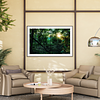 THE ONE - WILDLIFE & NATURE - "Jungle Light" - LIMITED EDITION 5 of 5