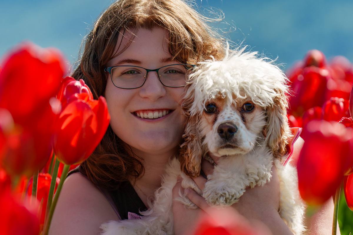 Young woman with her Cocker Spaniel in a red tulip field.