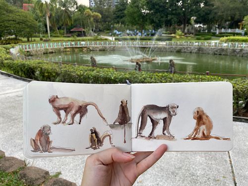 Sketches & Field Notes