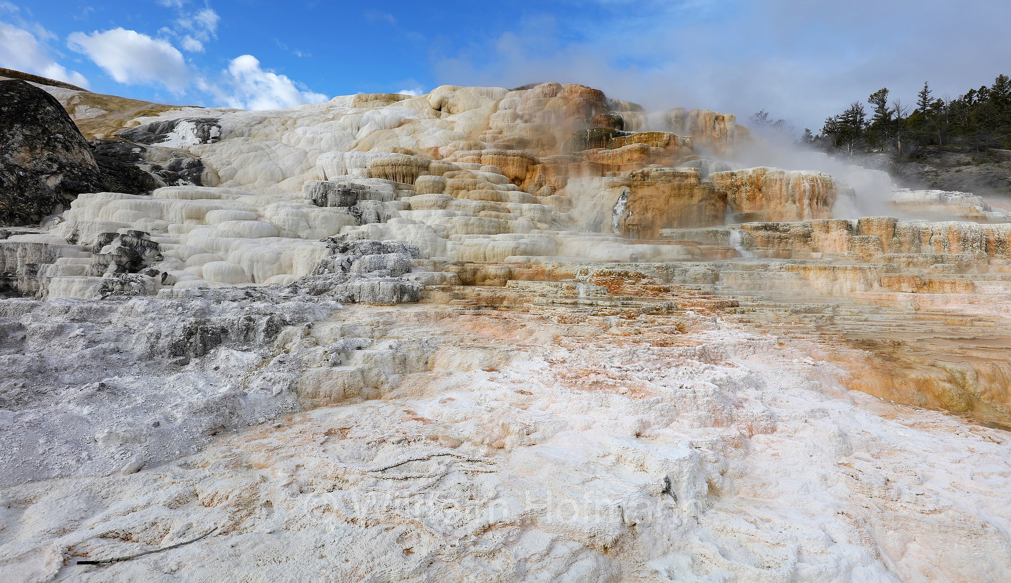 Palette Springs, Mammoth Hot Springs, Yellowstone National Park, Yellowstone-Nationalpark﻿, parco nazionale di Yellowstone, Wyoming, USA