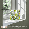 Tea Tree | Botanical Illustration | Art Card | with Envelope