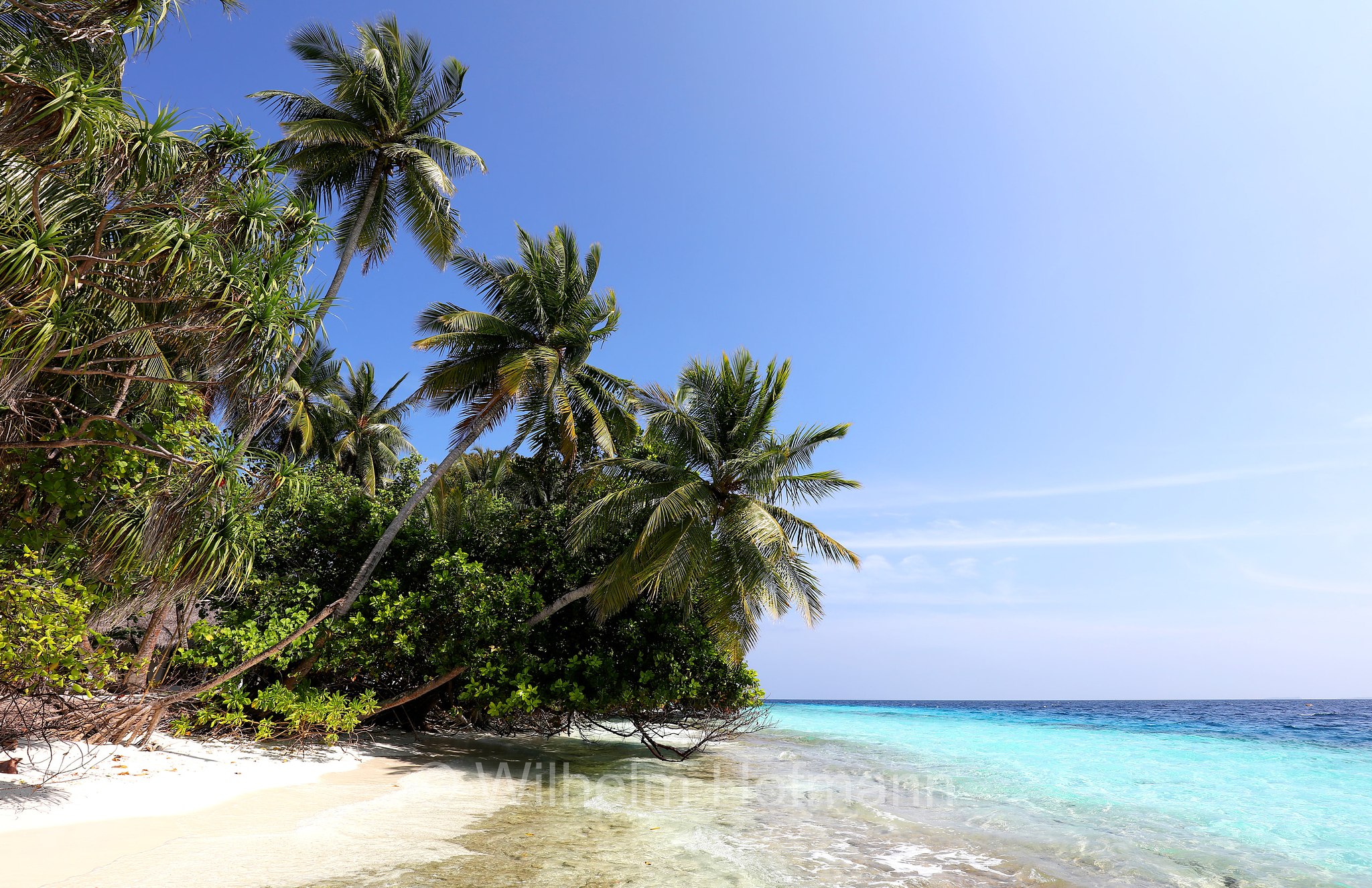 Malediven, Maldives, Maledive, fihalhohi island resort
