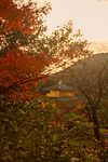 Le guide photo du Japon : 300 spots testés sur place