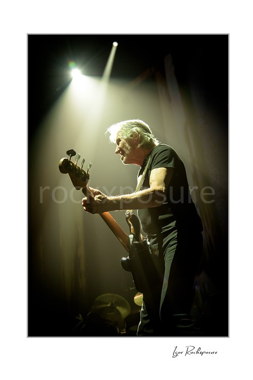 Roger Waters leans forward while playing bass in side profile, his gray hair illuminated by warm overhead spotlights against a dark stage.