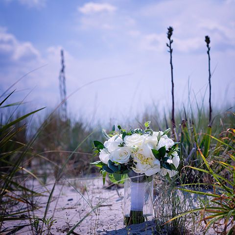 picture of the brides flower boquet on the beach in Dewey beach delaware