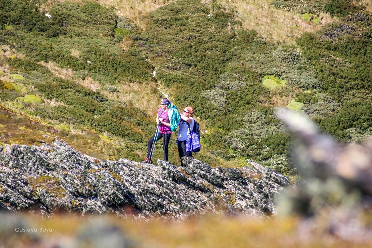 Turistas disfrutando de Caminata en Ushuaia
