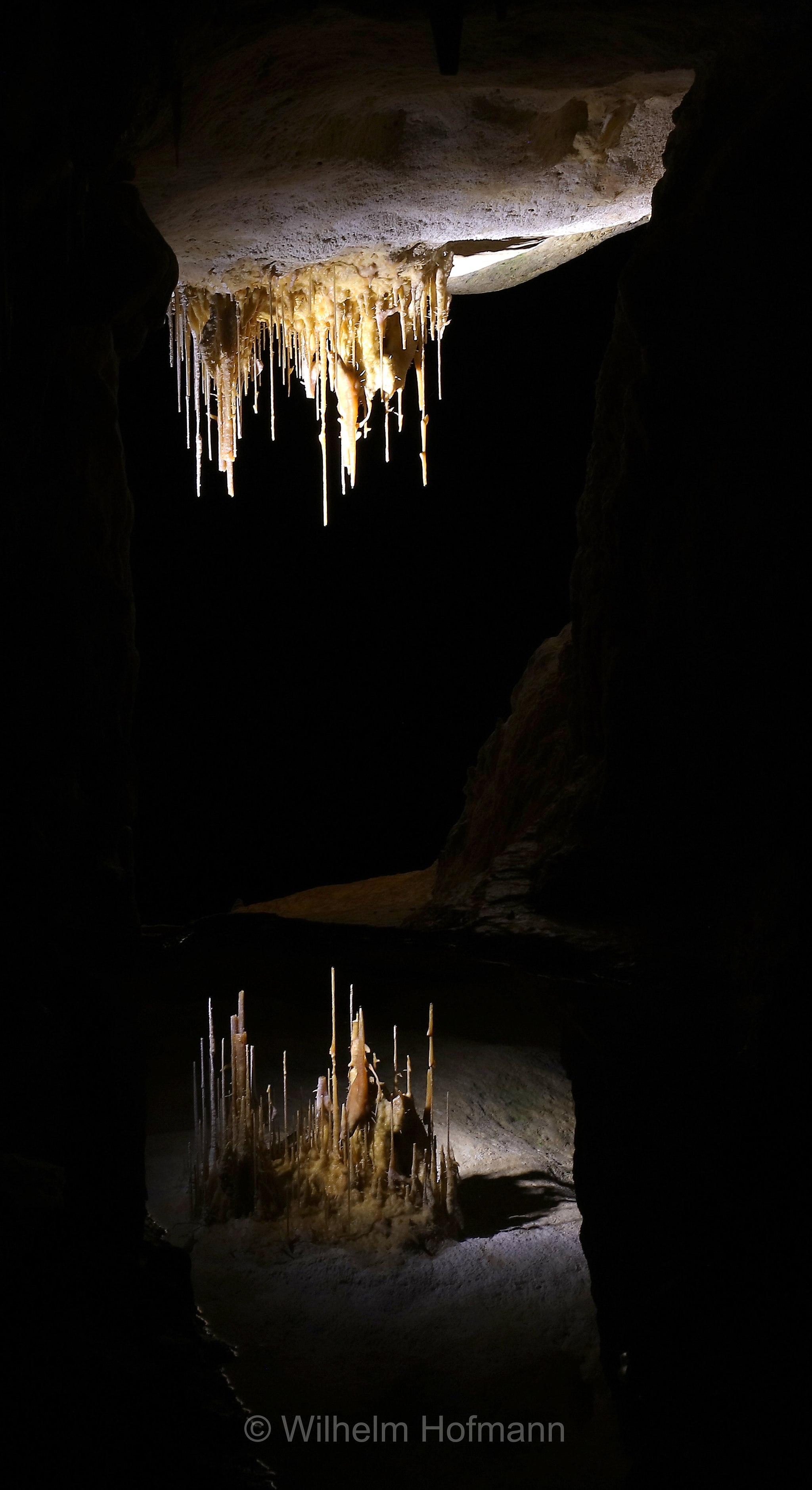Alexandra Cave, Naracoorte Caves National Park, Naracoorte-Caves-Nationalpark, Parco nazionale delle grotte di Naracoorte, South Australia, Südaustralien, Australia Meridionale, Australia, Australien