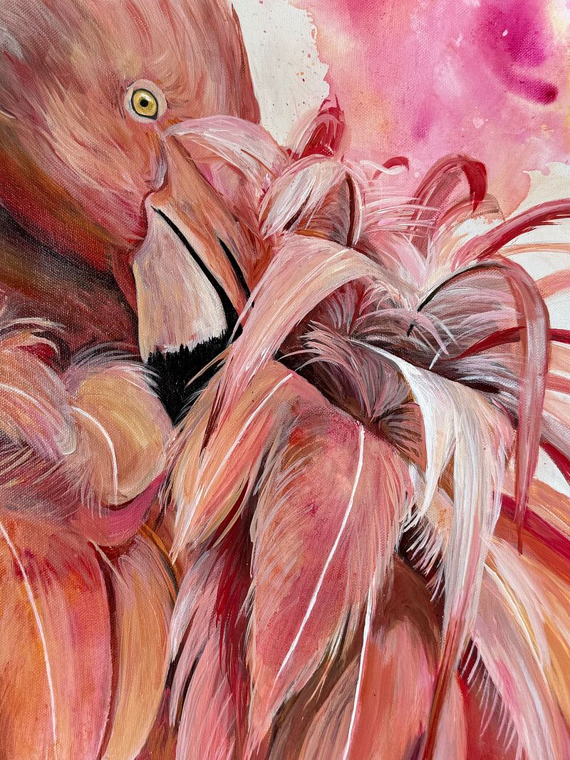Fluid Flamingo