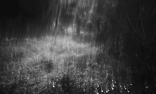 After Nature - Before truth
