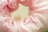 Pretty Flowers