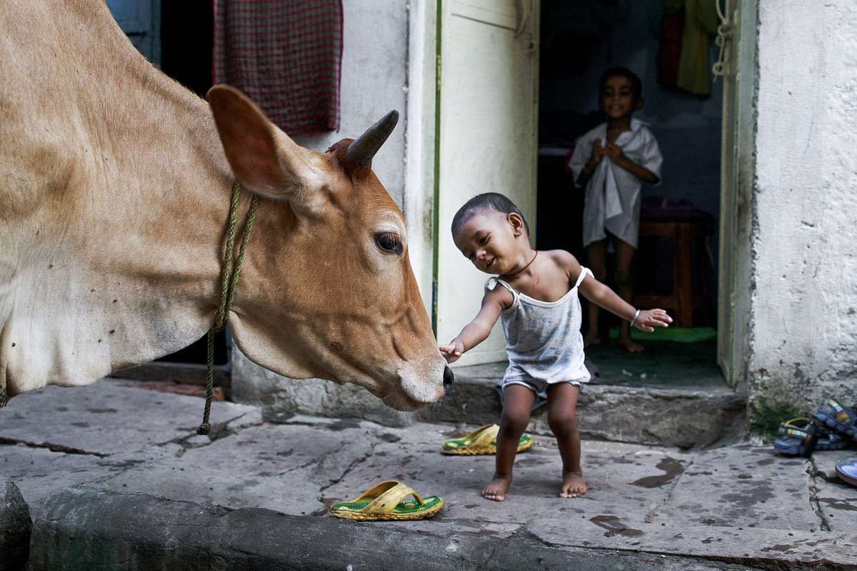 Using gestures to assign importance in a photograph