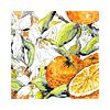 Orange Blossom & Citrus Fruit | Botanical Art Print