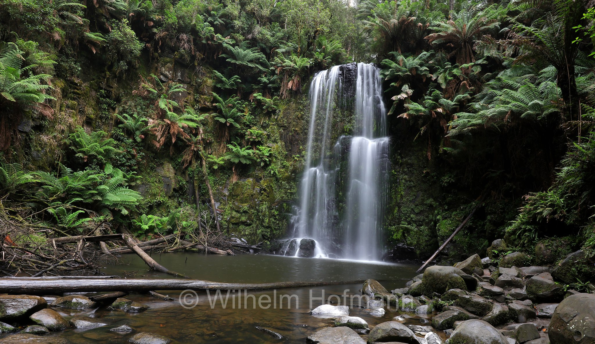 Beauchamp Falls, Great Otway National Park, Great-Otway-Nationalpark, parco nazionale Great Otway, Victoria, Australia, Australien