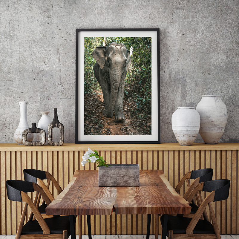 COLLECTION - GIANTS OF THE LAND VERTICAL - "The Only Direction" - LIMITED EDITION 5 of 5