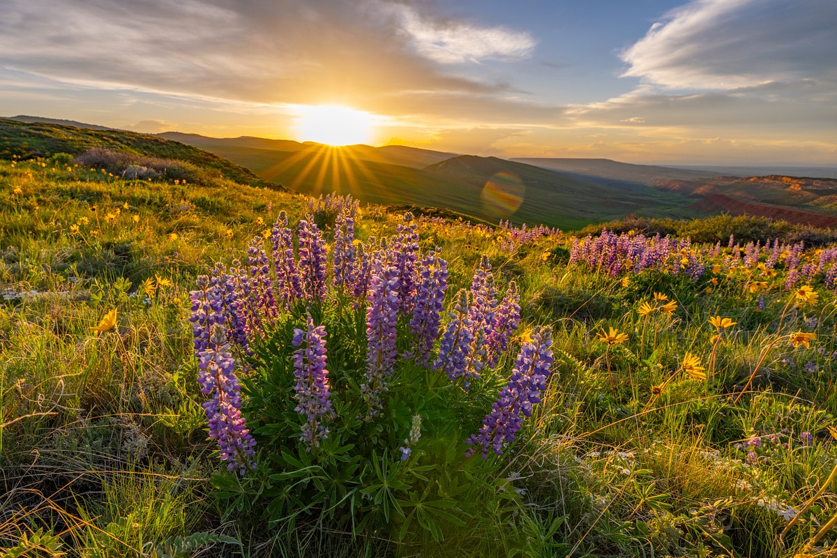 Red-Canyon-Floral-Arrangement