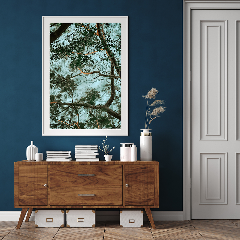 THE ONE - LINES & SHAPES - "The Canopy Ceiling" - LIMITED EDITION 5 of 5