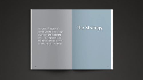 Double-page spread of the proposal publication showing a pull quote outlining the campaign goal on the left page and the strategy chapter title page on the right.
