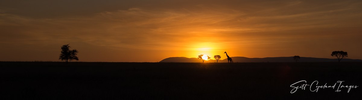 Endless Plains