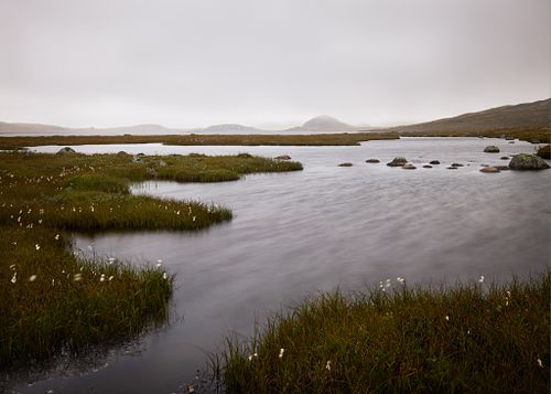 Lake in the Mist