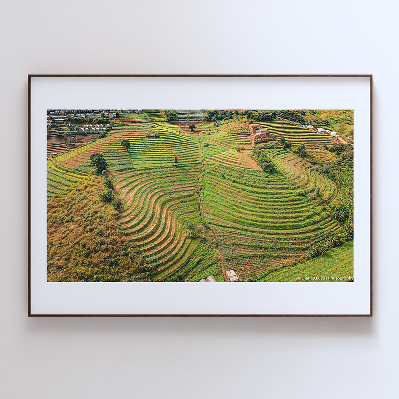 COLLECTION - FROM ABOVE HORIZONTAL - "Drawn by the Land" - LIMITED EDITION 10 of 10