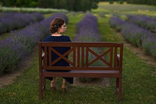 Lavander Dreams