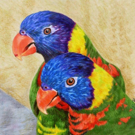 New Color Pencil Work