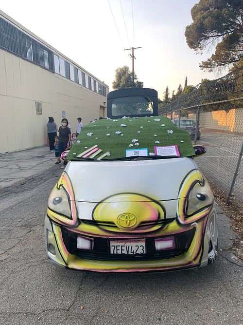 Vehicular Manslaughter