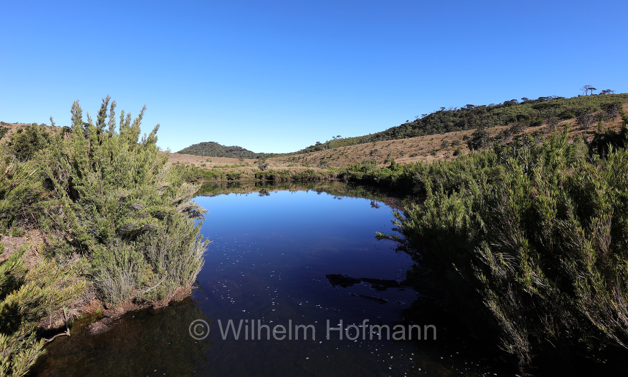 Horton Plains National Park, Horton-Plains-Nationalpark, parco nazionale Horton Plains, Sri Lanka