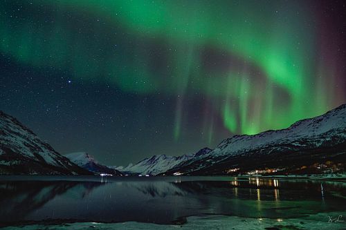 Tanzende Aurora am Ullsfjord
