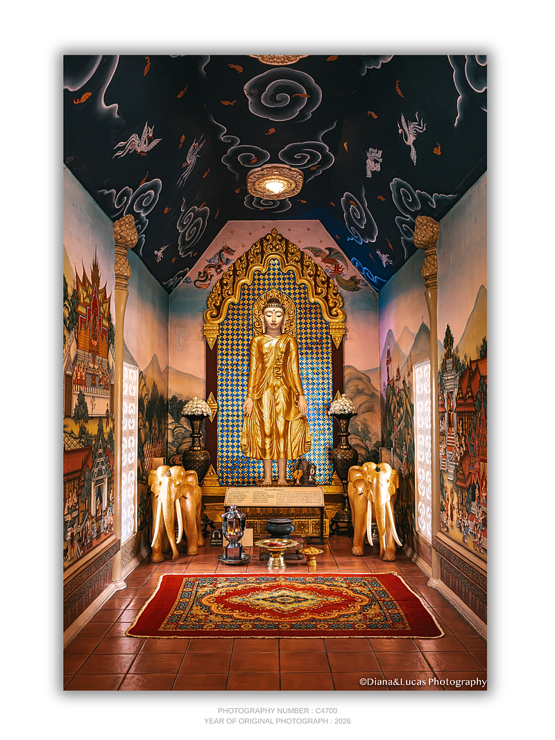 THE ONE - QUIET ICONS - "Full Decoration" - LIMITED EDITION 5 of 5