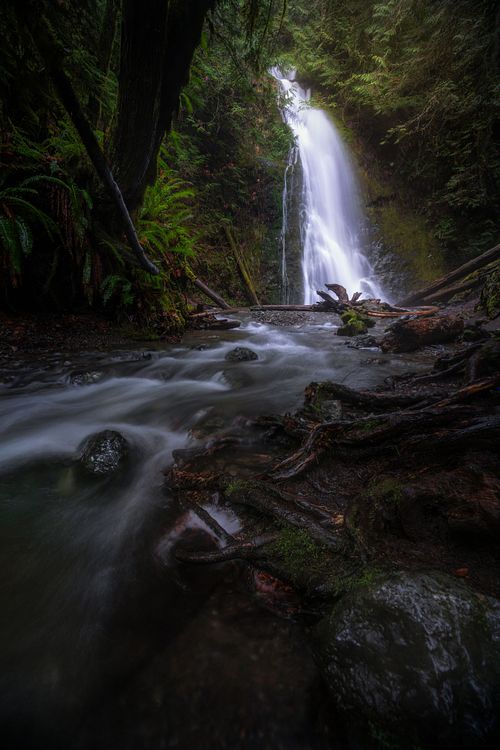Waterfall, stream, river, creek, flowing water, long exposure, nature, landscape, travel, hiking, adventure, escape, light, rocks, moss, ferns, forest, rain, Olympic, national park, Washington, port Angeles, pacific, northwest, light, dark, shadow