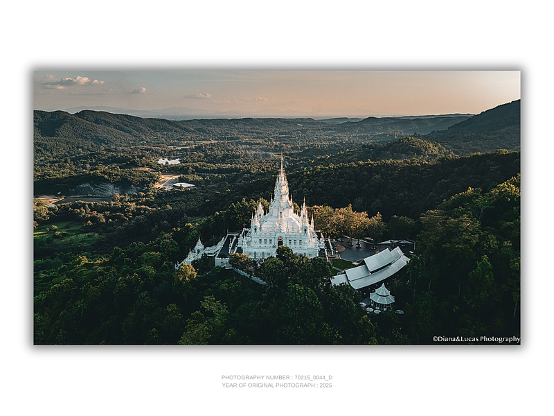COLLECTION - FROM ABOVE HORIZONTAL - "White and Proud" - LIMITED EDITION 10 of 10