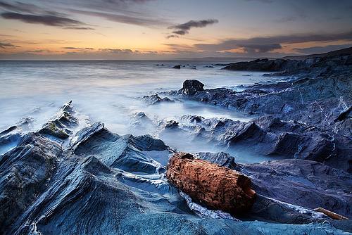 Driftwood at Whitsand Bay